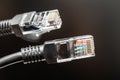 High-Quality Network Ethernet Cables Close-Up for Internet Connectivity and Data Transfer Needs