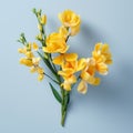 High Quality Organic Sculpted Yellow Bouquet On Blue Background