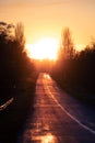 High quality paved road. Autumn bright sunset landscape Royalty Free Stock Photo