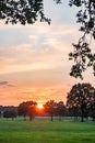 Golden Horizon: Vibrant Sunset Over Rural Treetops Royalty Free Stock Photo