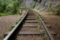 railway in the forest, summer in the rainforest