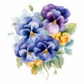 Realistic Watercolor Pansy Arrangement Vector Illustration Royalty Free Stock Photo