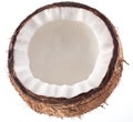 High-quality photos of coconuts on a white. Royalty Free Stock Photo