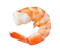 High-Quality PNG Shrimp Cooked Isolated on White Background Royalty Free Stock Photo