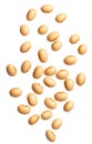 High-Quality PNG Soybeans Falling Isolated on White Background Royalty Free Stock Photo