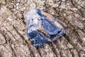 High Quality Polished Pietersite from Namibia, South Africa, on a tree bark. Also known as the Tempest Stone Royalty Free Stock Photo