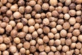 High quality seeds of aromatic coriander, in a texture form for your unique garden. Can be used by seed producers.
