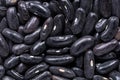 High quality seeds of asparagus black beans, in a texture form for your beautiful garden. Can be used by seed producers.