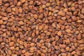 High quality seeds of iberis, flower in a texture form for your unique garden. Can be used by seed producers.