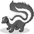 High Quality Skunk Vector Cartoon Illustration