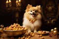 High-quality Spitz dog food. Generate Ai Royalty Free Stock Photo