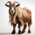High Quality Ultra Hd Portrait Of A Mythical Goat