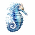 High-quality Ultra Hd Seahorse Design On White Background Royalty Free Stock Photo