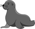 High quality vector animation of cute seals Royalty Free Stock Photo