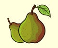 Seckel Pear Vintage fruits sugary pears illustration design Royalty Free Stock Photo