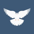 Vector illustration of the christian dove flying in the sky Royalty Free Stock Photo