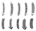 Ear Silhouette Vector Isolated on White Background. Grain Agriculture Vector Illustration Royalty Free Stock Photo