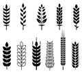 Ear Silhouette Vector Isolated on White Background. Grain Agriculture Vector Illustration Royalty Free Stock Photo