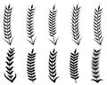 Wheat Ear Silhouette Set. Royalty Free Stock Photo