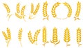 Wheat Ear Silhouette Set Royalty Free Stock Photo