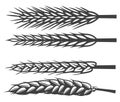 Wheat Ear Silhouette Set. Royalty Free Stock Photo