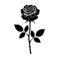Single Rose Flower Silhouette Vector Icon Isolated on White Background Thorn Stem and Leaves Design Element. Royalty Free Stock Photo