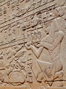 HIGH RELIEF IN EGYPTIAN TEMPLE OF LUXOR