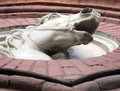 High relief in the form of a horse`s head on a brick wall Royalty Free Stock Photo