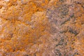 high res earth tones semi smooth multi color and tones natural stone texture close up background Royalty Free Stock Photo