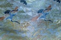High res elegant pale muted colored printed silk fabric with cranes texture background close up from a kimono dress