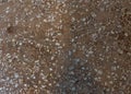 high res of muted brown and white elegant historic Venetian terrazzo marble flooring background