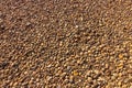 High res natural pale multi earth tone sandstone pebbles, texture background close up Royalty Free Stock Photo