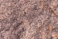 High res of old grunge, rough and weathered pale warm pink multi tone stone wall close up background