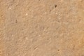 High res old pale muted sandy brown rough textured traditional sandstone wall, texture background Royalty Free Stock Photo