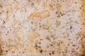 High res pale smooth and elegant Valencia cream marble texture background wall extreme close up in natural patterns, from Cairo Royalty Free Stock Photo