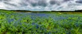 High Res Panorama of Mule Shoe Bend, Texas. Royalty Free Stock Photo