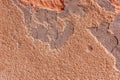 high res rough and weathered pale salmon pink shaded stucco wall background close up