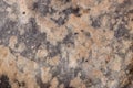 high res semi smooth dark gray natural stone texture close up background with bright pale pink spots from Italy Royalty Free Stock Photo