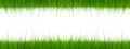 High resolution 3d green grass banner