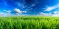 High-resolution AI-generated images of panorama background
