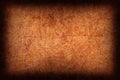High Resolution Antique Animal Skin Parchment Coarse Grain Wizened Vignette Grunge Texture