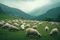 High Resolution of Beautiful View of a Herd of Sheep Grazing on a Grasscovered Field Royalty Free Stock Photo