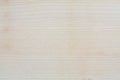 High resolution blonde wood texture Royalty Free Stock Photo