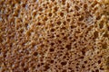 High resolution brown bread texture background. Texture of brown bread baked from rye flour Royalty Free Stock Photo