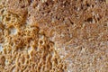 High resolution brown bread texture background. Texture of brown bread baked from rye flour Royalty Free Stock Photo
