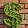 Close-up of Moss-Covered Brick Wall with Green Shoots Royalty Free Stock Photo