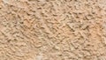Rough beige plaster wall texture background with irregular stucco pattern. Royalty Free Stock Photo