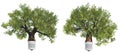 High resolution conceptual green trees Royalty Free Stock Photo
