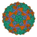 High-resolution crystal structure of Coxsackievirus A24v