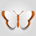 High resolution 3D abstract concept or conceptual white paper with orange background butterfly shape or symbol